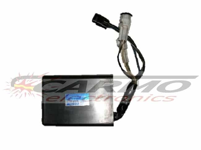 KLX250 (21119-1381, 21119-1399)